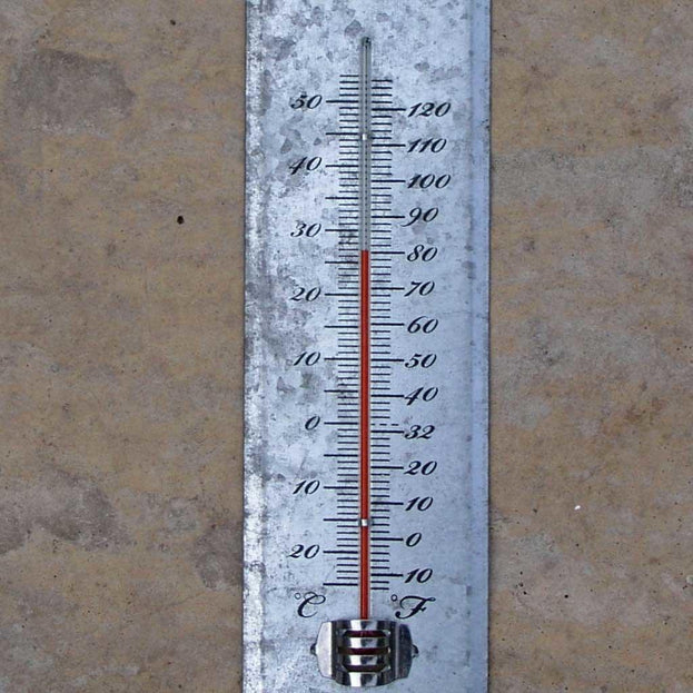 Zinc Thermometer (4647704723516)
