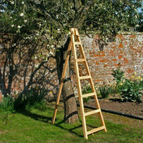 Orchard Ladder (4646933463100)