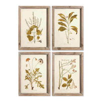 Set of 4 Framed Botanical Prints No7 (4653374537788)