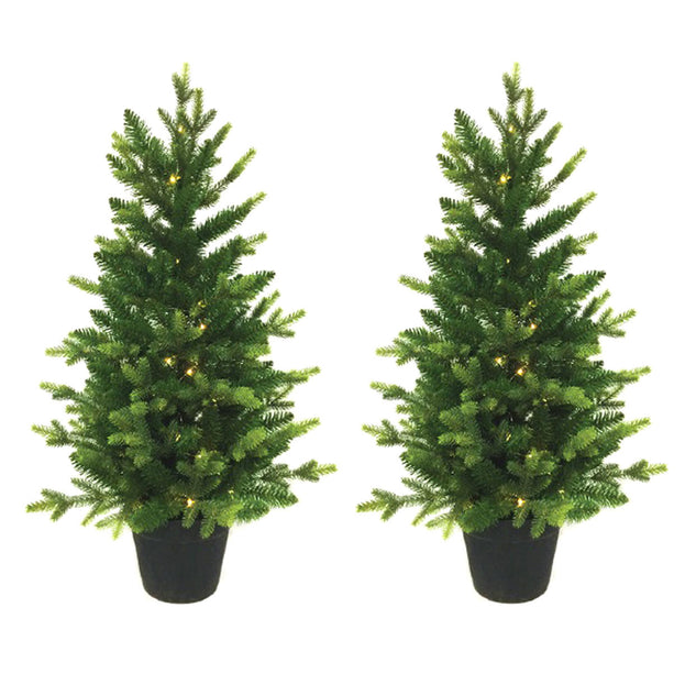 Pair of Pre-Lit Pine LED Doorstep Christmas Trees (6679718297660)