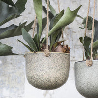 Vintage Hanging Ceramic Plant Pot (4650075095100)