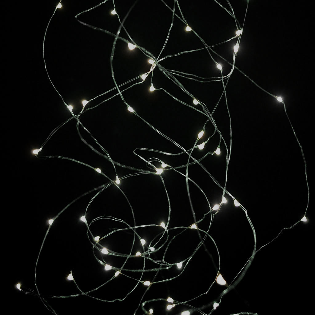 Buy Outdoor Mini Pin 40 LED String Lights — The Worm that Turned ...