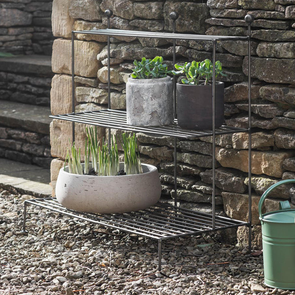 Contemporary Steel Plant Stand