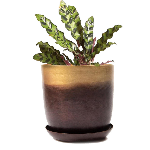 Lustre Planter with Saucer (6670641954876)