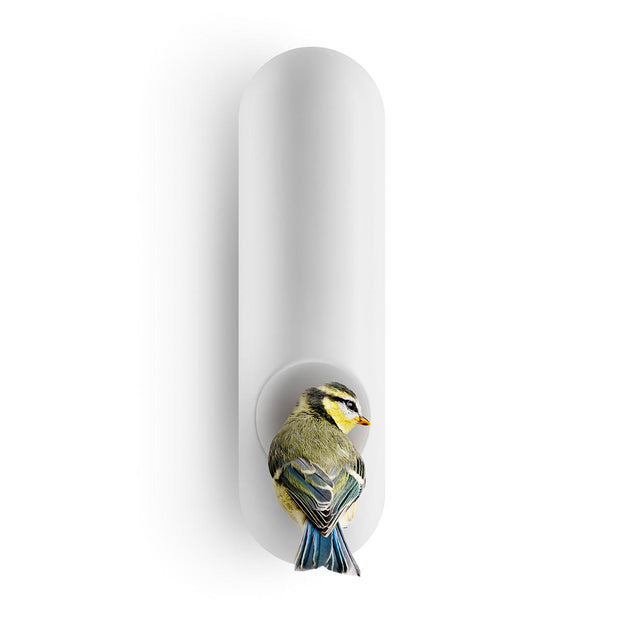 Contemporary Wall Bird Feeder Tube (6888599846972)