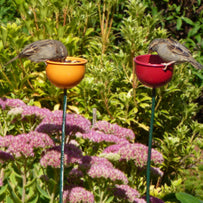 Wild Bird Garden Cup Feeder (4649562406972)