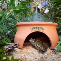 Frogilo Frog House (4648547057724)