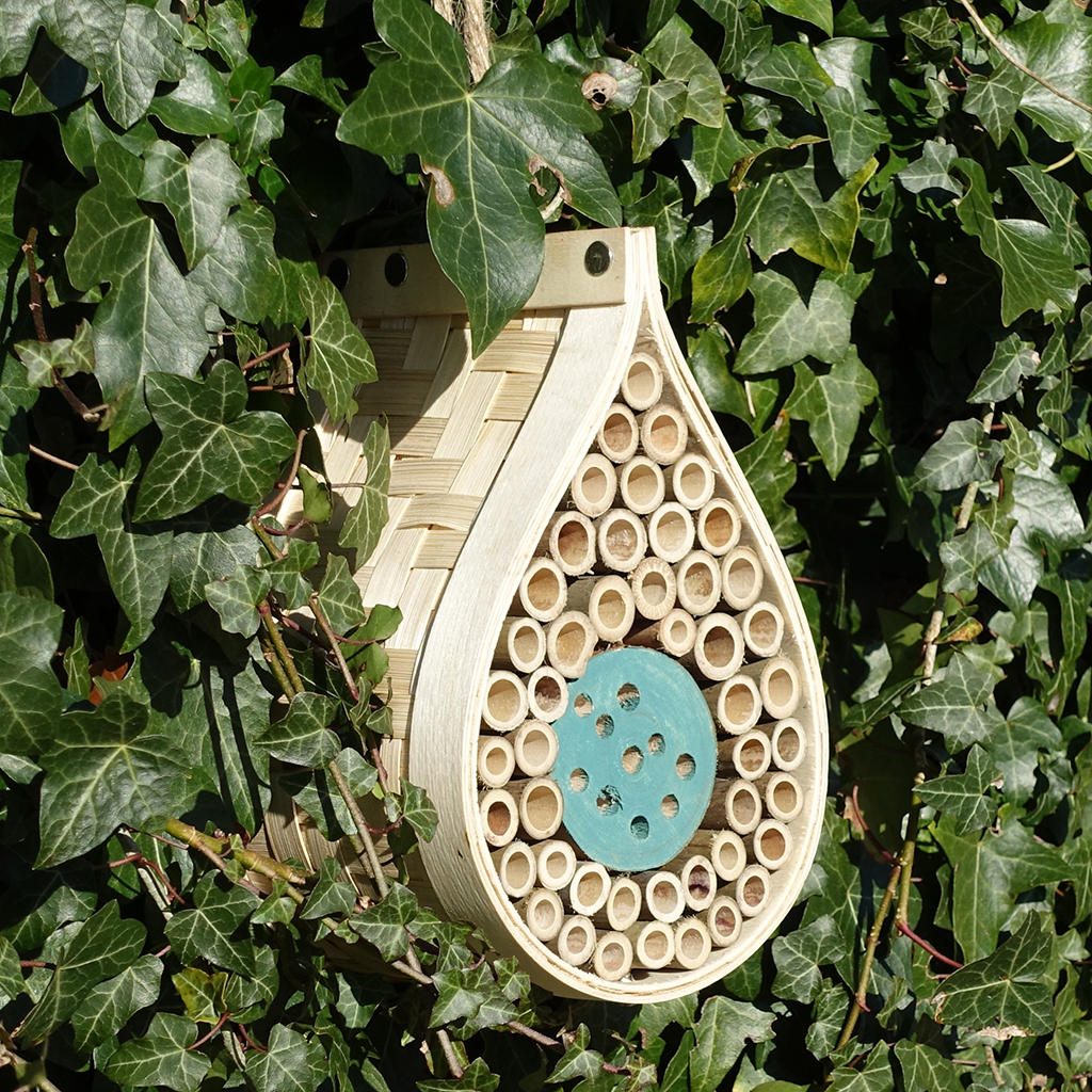 Buy Dewdrop Insect and Bee House — The Worm that Turned - revitalising ...