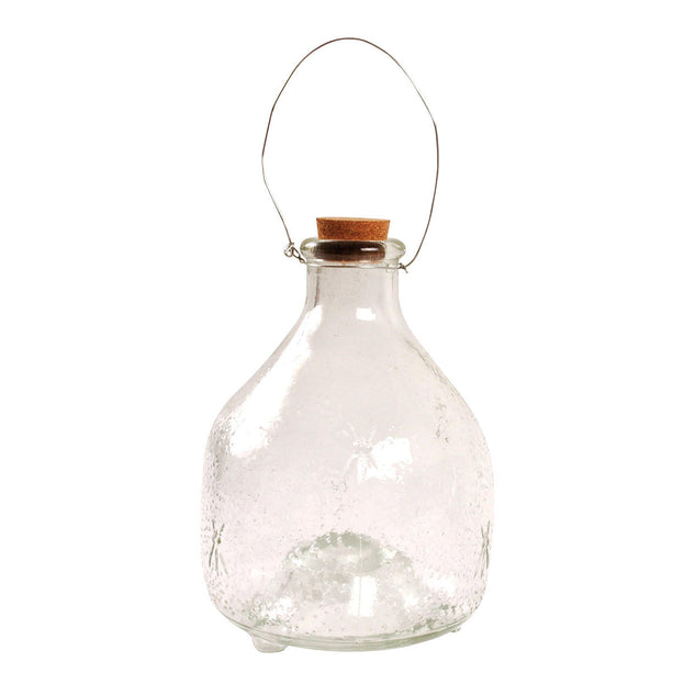 Clear Glass Wasp Catcher (4646505414716)
