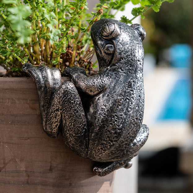 Froggy Plant Pot Decoration (6669787791420)