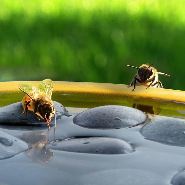 Bee and Butterfly Bath (6647128129596)