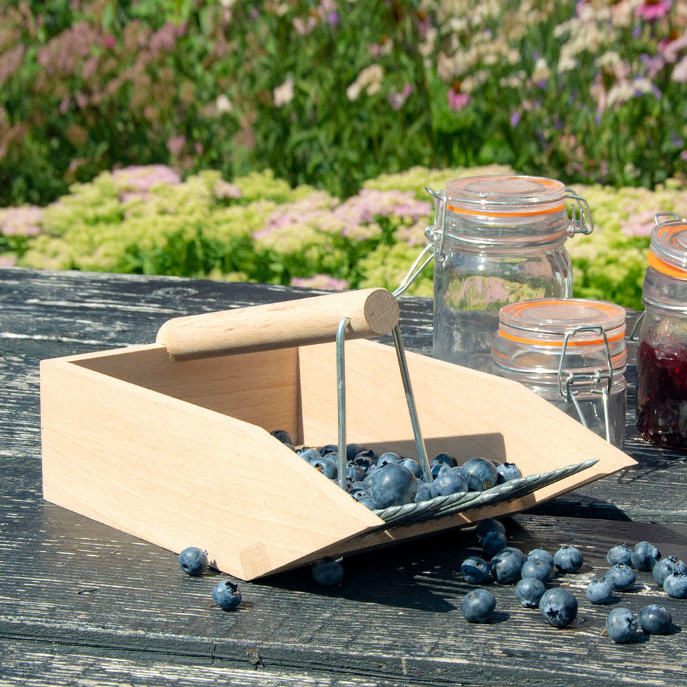 A berry picker made of wood is full of blueberries.