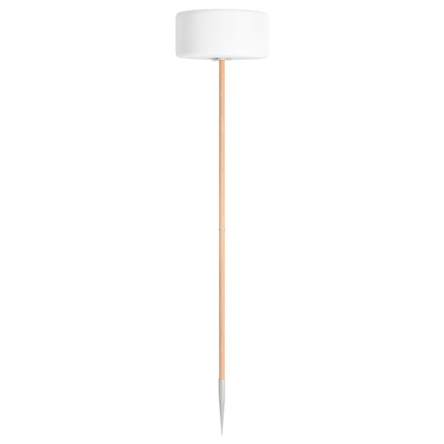 Outdoor Thierry Le Swinger LED Light (4649782444092)