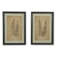Fern Leaves Botanical Prints (4653058588732)