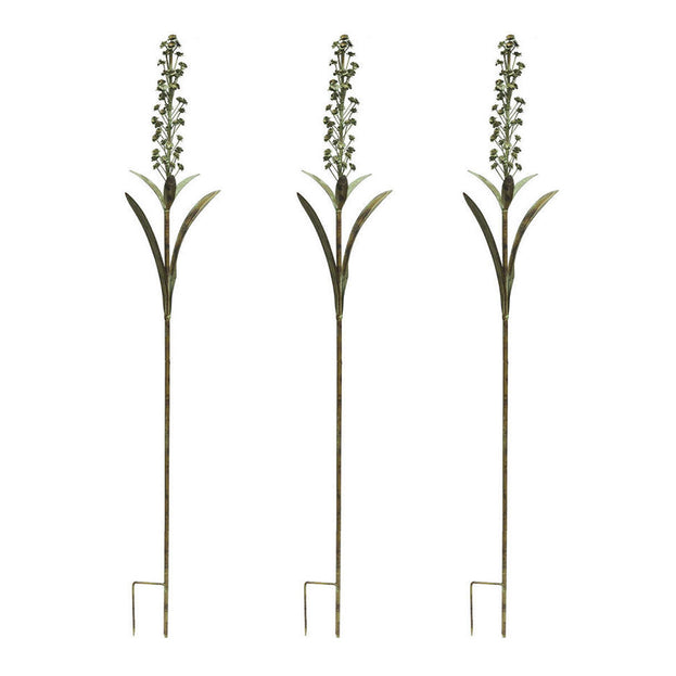 Foxtail Lily - Set of 3 Stems (6647113547836)