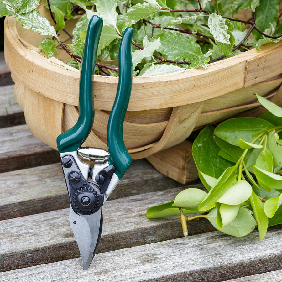 Green secateurs rest against a wooden trug