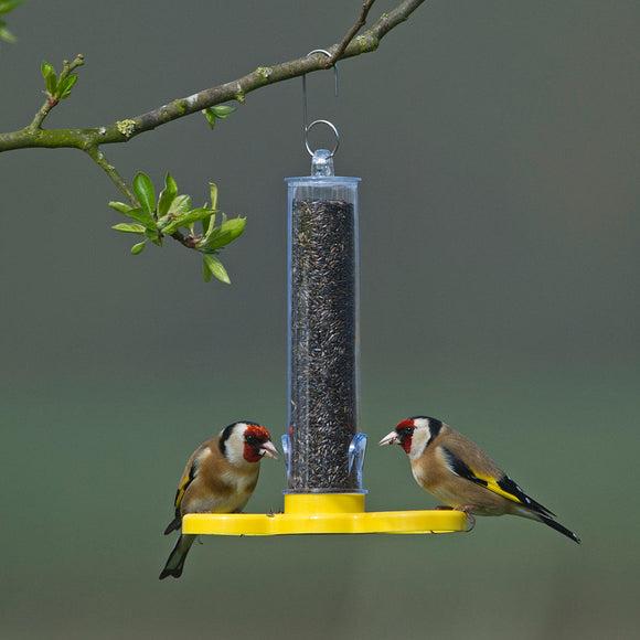 Goldfinch Finder Feeder (4647945240636)
