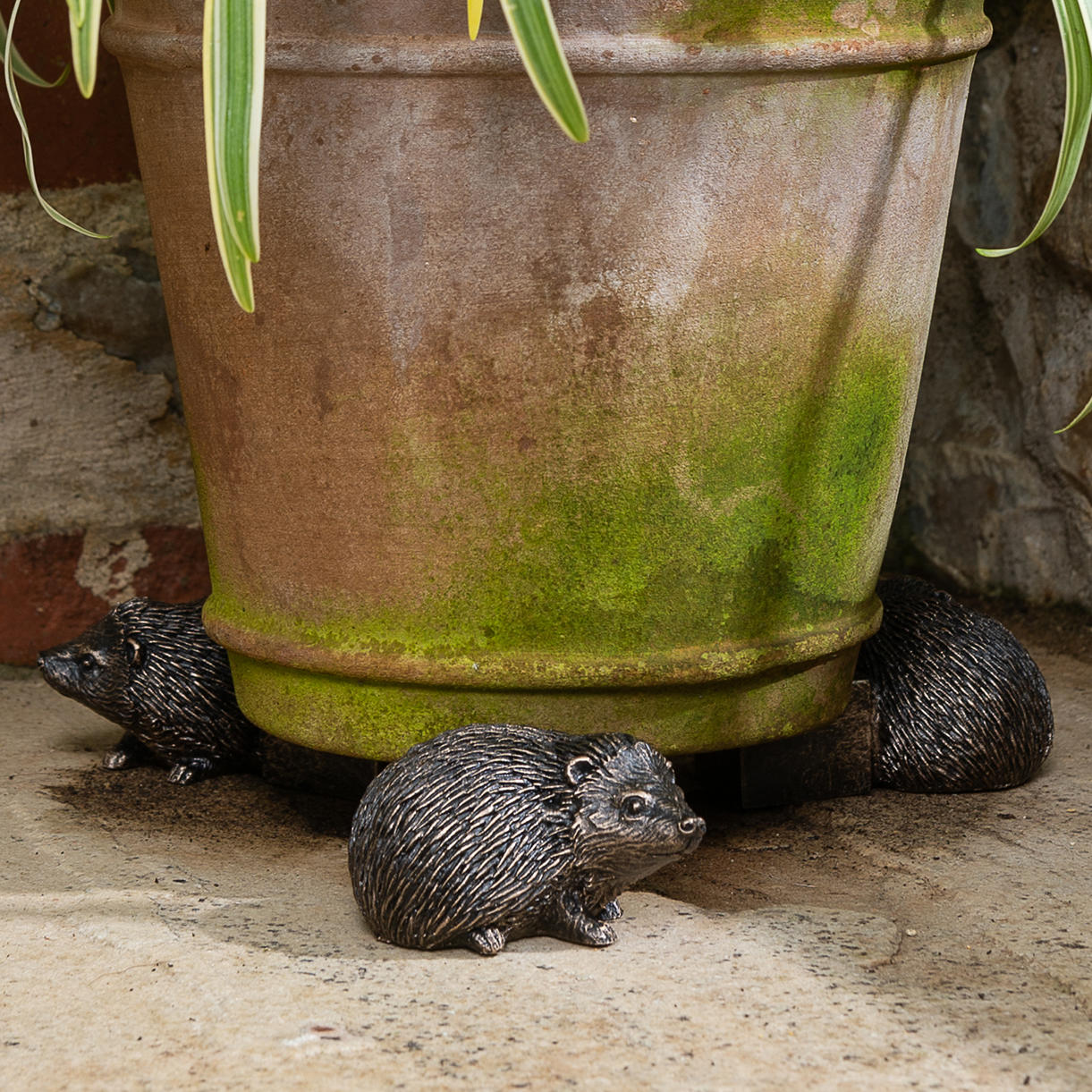 animal plant pot feet Buy Hedgehog Plant Pot Feet - Set of 3 — The Worm that Turned