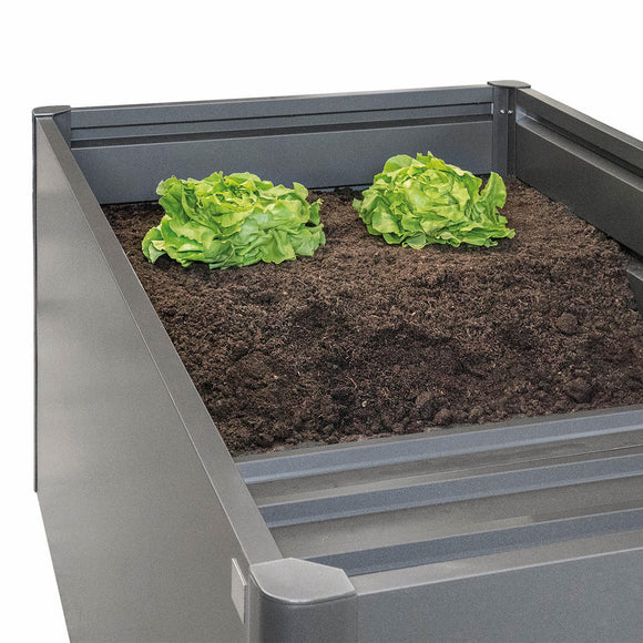 BioHort Intermediate Floor Rectangular Raised Vegetable Bed (4690550915132)