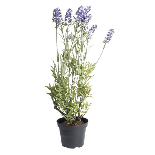 Faux Lavender Plant (4649047457852)