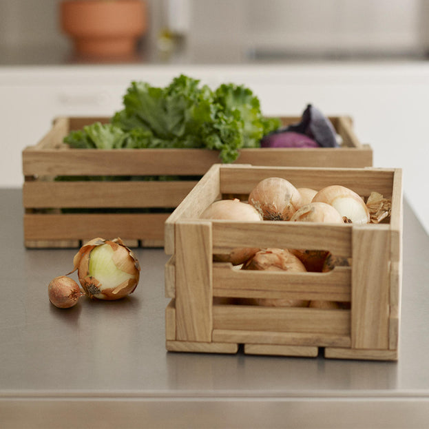 Buy Dania Storage Boxes — The Worm that Turned revitalising your