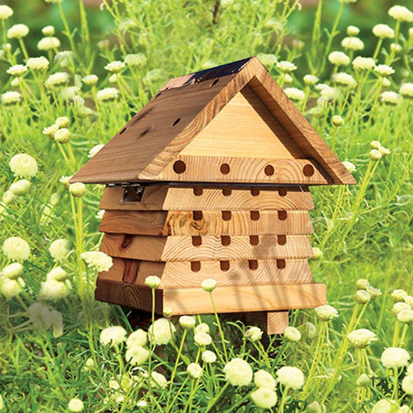 Flip Top Solitary Bee Hive (4651900403772)