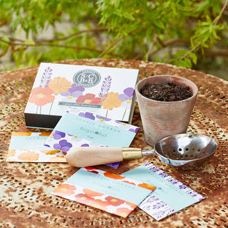 Edible Flower Garden Seed Set (4649122594876)