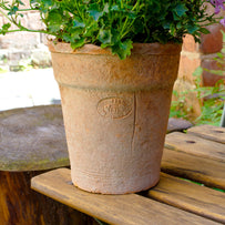 Aged Terracotta Long Tom Pot (4651915739196)