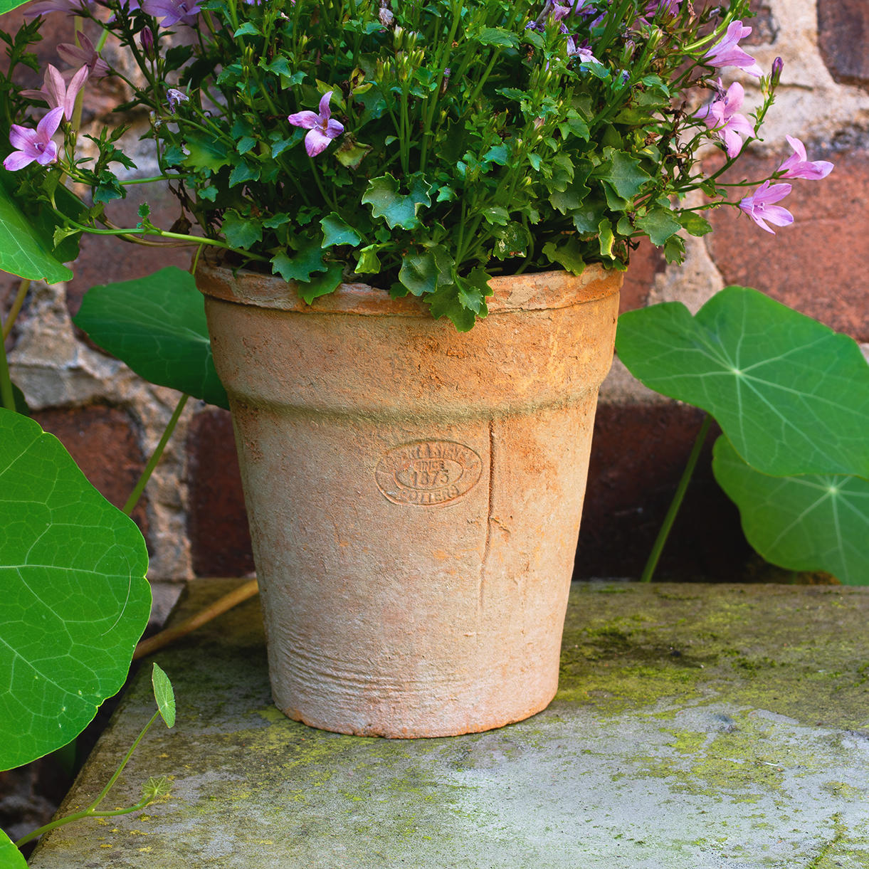 terracotta long tom plant pots Buy Aged Terracotta Long Tom Pot — The Worm that Turned