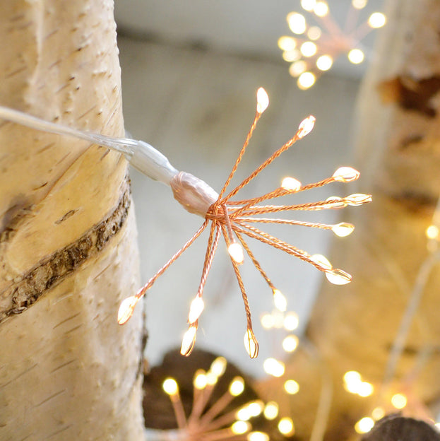 Buy Allium Starburst Mains String Lights — The Worm that Turned