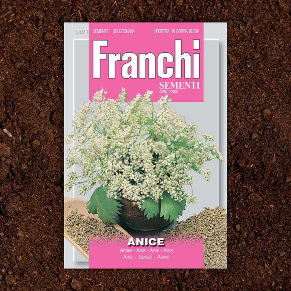 Anise Herb Seeds (7103246925884)