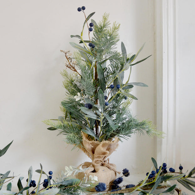 Blueberry and Olive Leaf Tree in Hessian Sack (6685894377532)