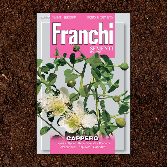 Capers Herb Seeds (7101271179324)