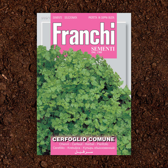 Chervil Herb Seeds (7103220908092)