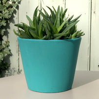 Colourful Painted Plant Pot (4653066289212)