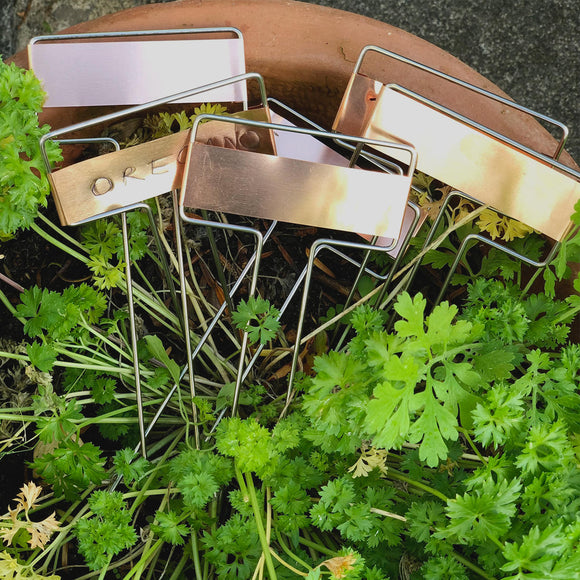 Copper Plant Marker Set of 6 (6647798005820)
