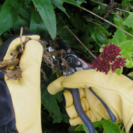 Dry Touch Gloves