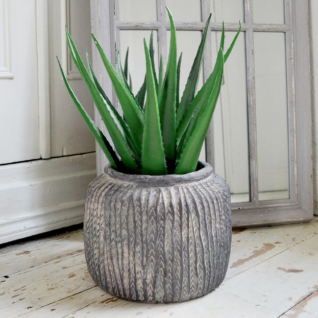 Egyptian Round Belly Indoor Pot (4651951816764)