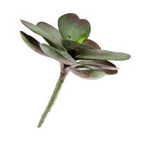 Faux Succulent Plant (4650480894012)