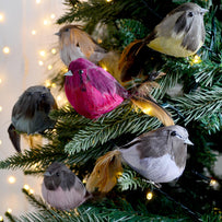 Feathered Finches Tree Decorations (4653377945660)
