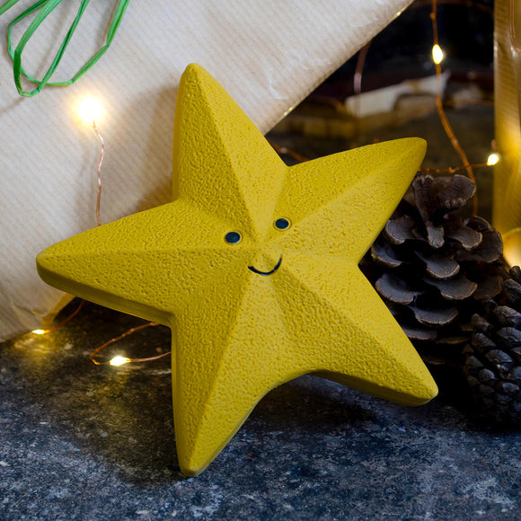 Festive Christmas Star Dog Toy (7155327893564)