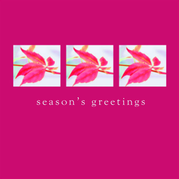 Christmas Cards Pack of 5 (4647965556796)