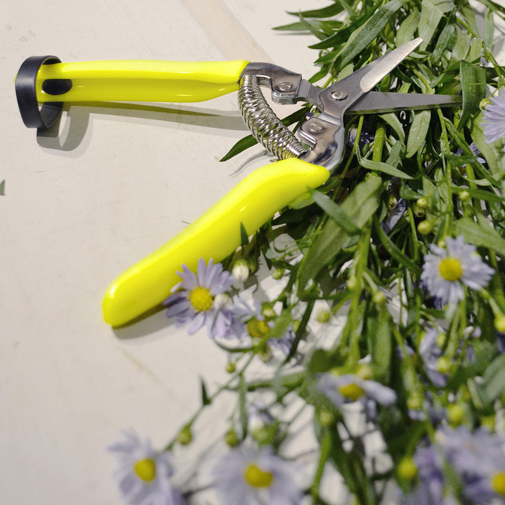 Buy FloraBrite Flower & Fruit Snips — The Worm that Turned ...