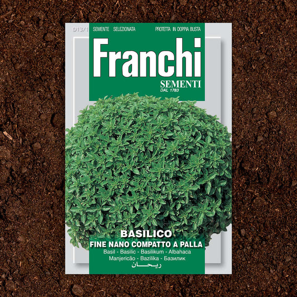 Greek Basil Herb Seeds (7103221334076)