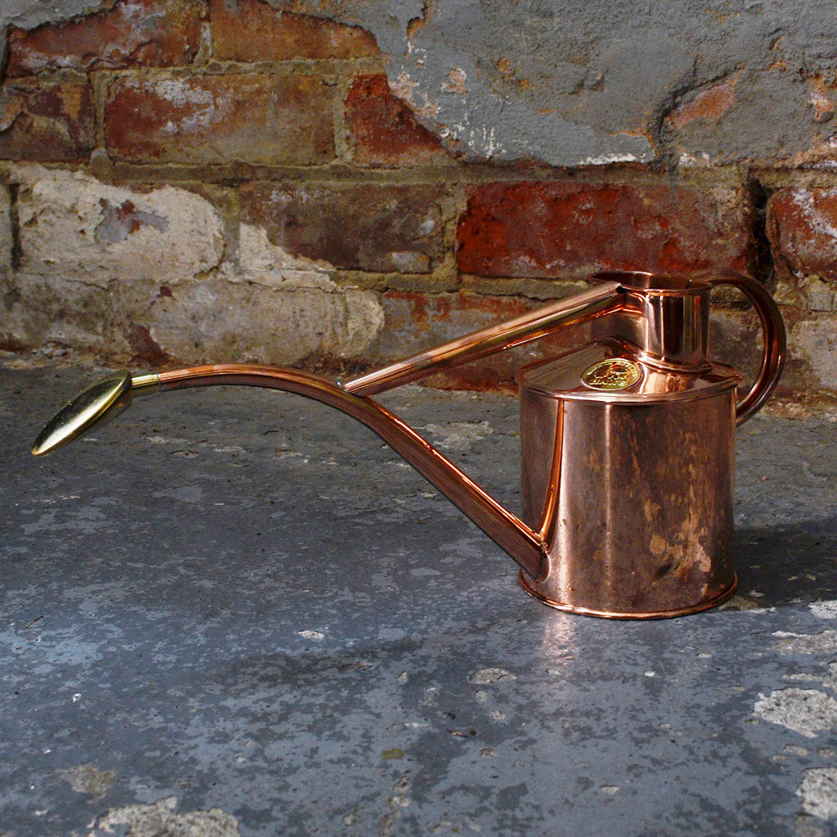 Buy Haws Copper Indoor Watering Can — The Worm that Turned
