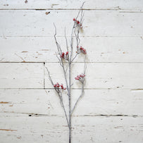 5 Frosted Hawberry Stems (6649939755068)