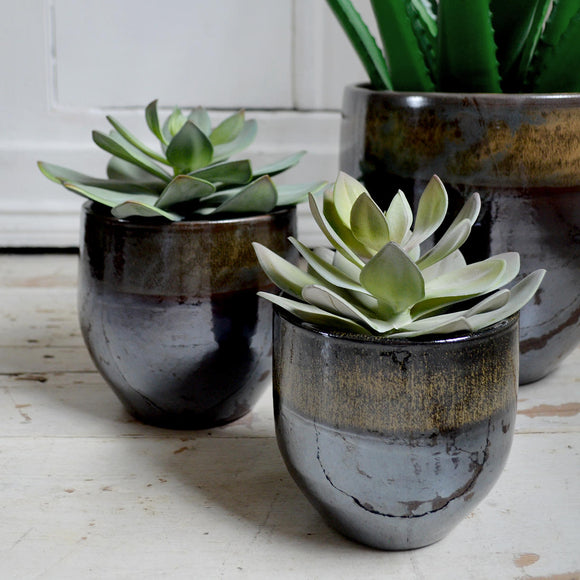 Indoor Plant Pots with Black Green Glaze (6601383018556)