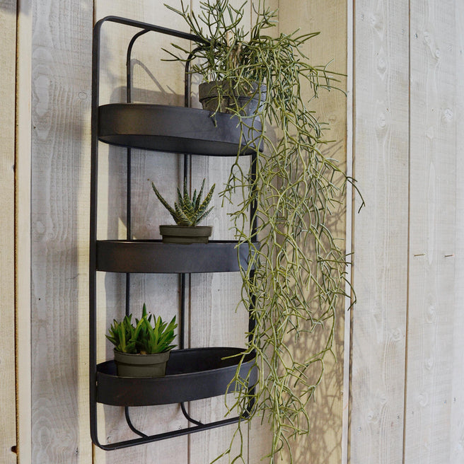 Buy Iron Triple Shelf Wall Unit — The Worm that Turned - revitalising ...