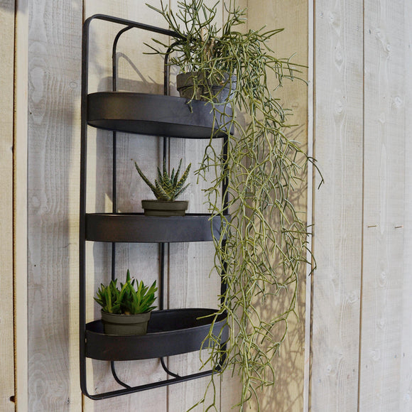 Iron Triple Shelf  Wall Unit (4651952242748)