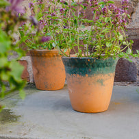 Rustic Aged Lacepot Plant Pot (7138835791932)